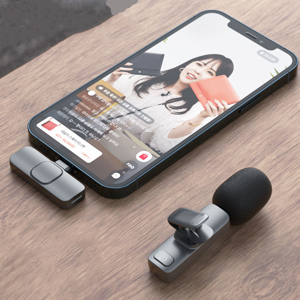 OneMic Mini