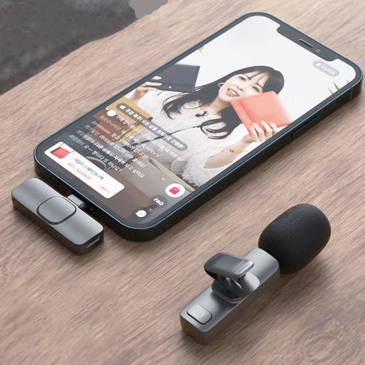 OneMic Mini